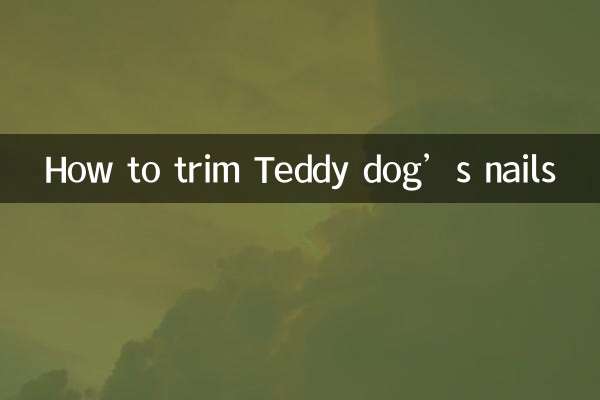 テディドッグの爪の切り方