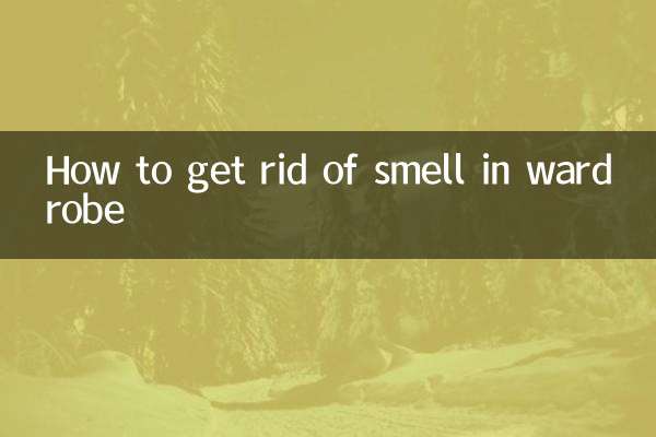 Как избавиться от запаха в гардеробе