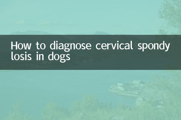狗狗颈椎病怎么确诊