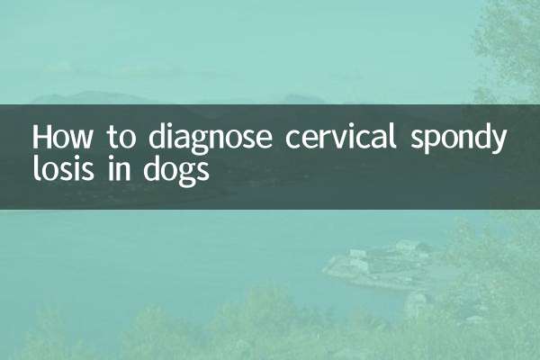 狗狗颈椎病怎么确诊
