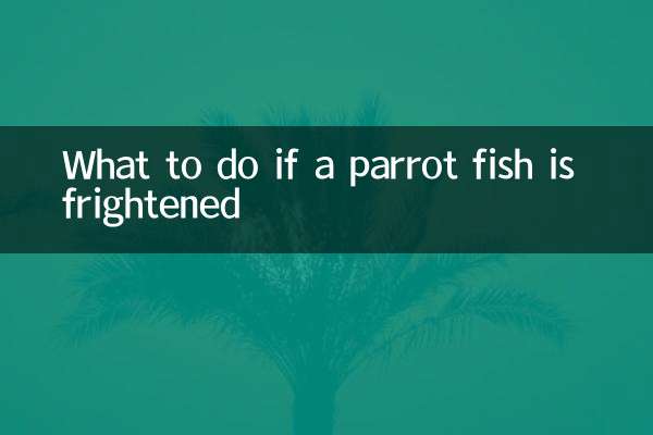 앵무새 물고기가 겁을 먹으면 어떻게 해야 할까요?