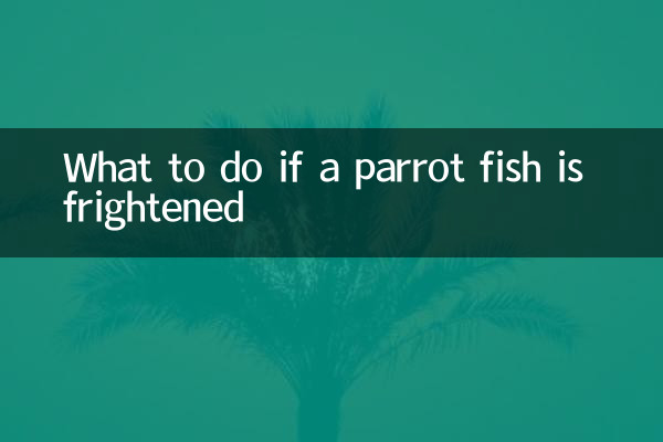 کیا کریں اگر طوطی مچھلی خوفزدہ ہو