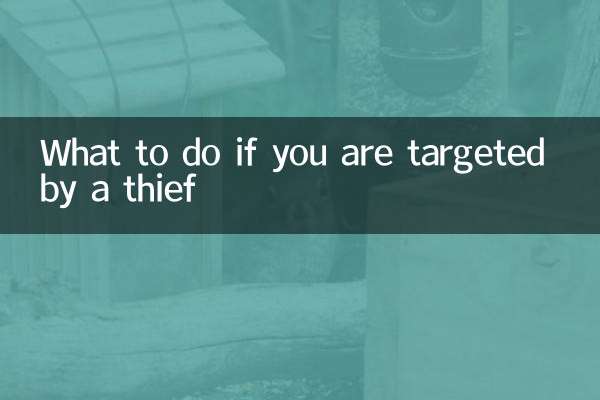 泥棒に狙われた場合の対処法