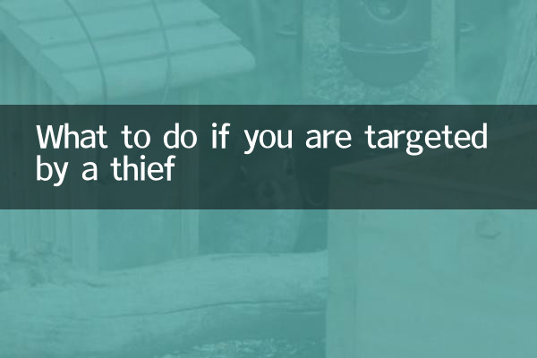Cosa fare se si viene presi di mira da un ladro