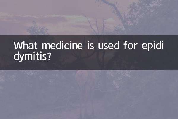 ما هو الدواء المستخدم لالتهاب البربخ؟