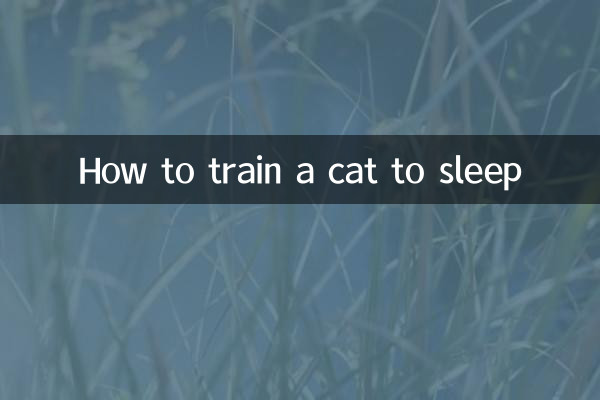 How to train a cat to sleep
