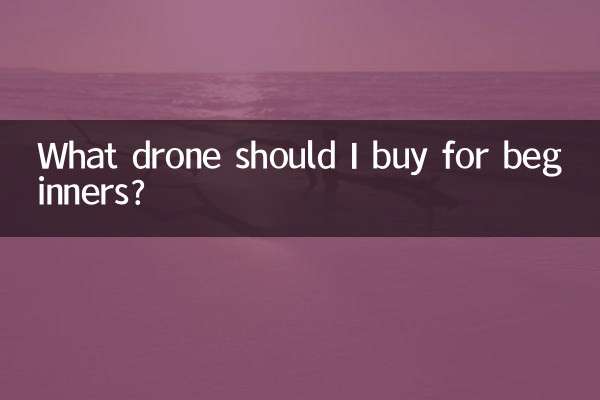 초보자는 어떤 드론을 사야 할까요?