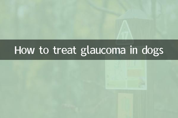 狗狗得青光眼怎麼治療