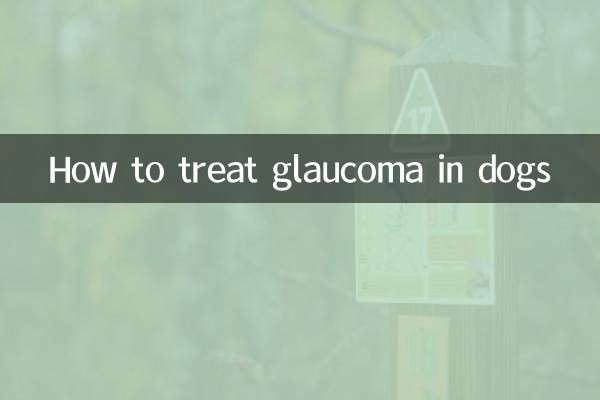 狗狗得青光眼怎麼治療