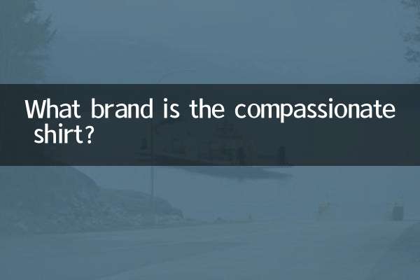 What brand is the compassionate shirt?