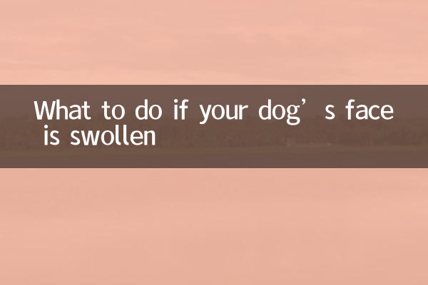 What to do if your dog’s face is swollen