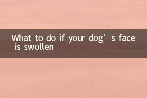 What to do if your dog’s face is swollen