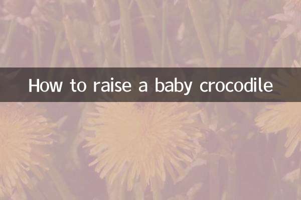 Come allevare un cucciolo di coccodrillo