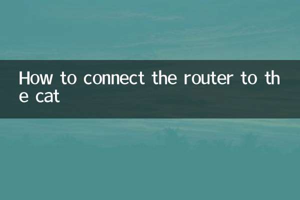 How to connect the router to the cat
