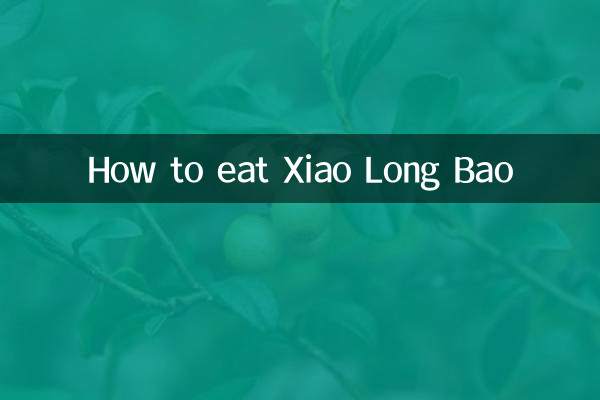 Xiao Long Bao কিভাবে খাবেন