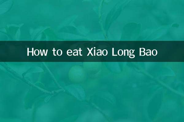 Xiao Long Bao কিভাবে খাবেন
