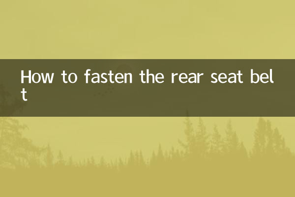 Como apertar o cinto de segurança traseiro
