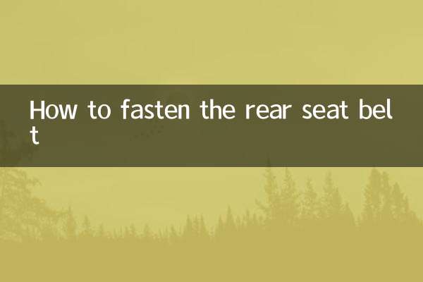 Como apertar o cinto de segurança traseiro