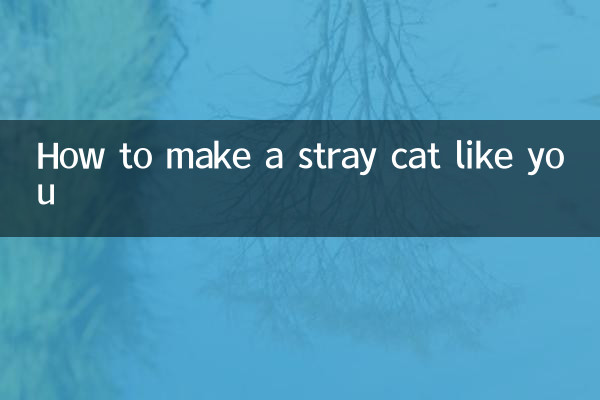 길고양이를 당신처럼 만드는 방법