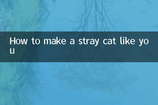 Cómo hacer para gustarle a un gato callejero