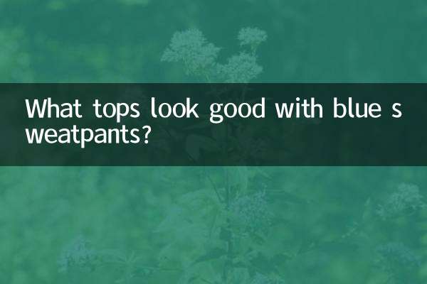 نیلے رنگ کے پسینے کے ساتھ کون سی چوٹی اچھی لگتی ہے؟