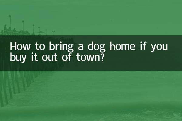 اگر آپ اسے شہر سے باہر خریدتے ہیں تو کتے کو گھر کیسے لائیں؟