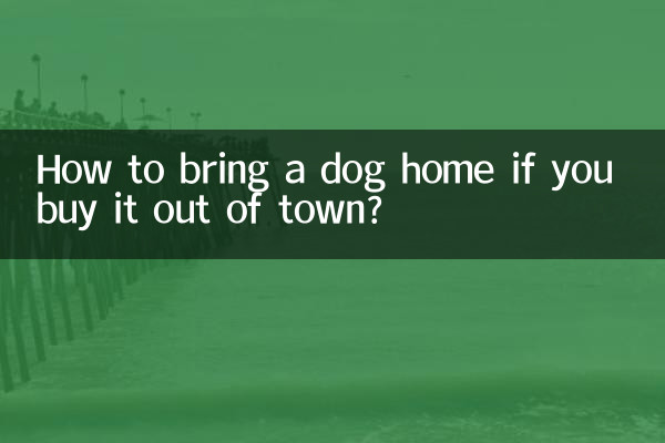 市外で犬を買った場合、どうやって家に連れて帰るのですか?