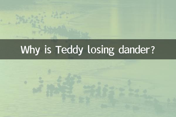 Perché Teddy sta perdendo pelo?