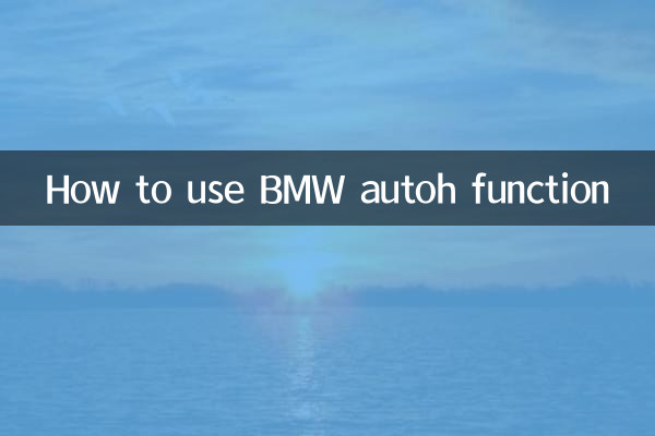 BMW 오토 기능 사용법