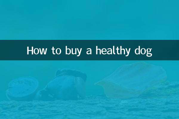 Cómo comprar un perro sano