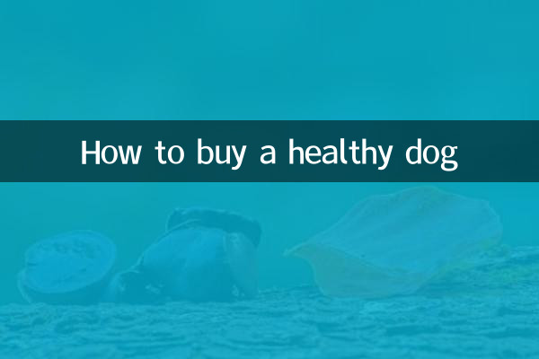 Cómo comprar un perro sano