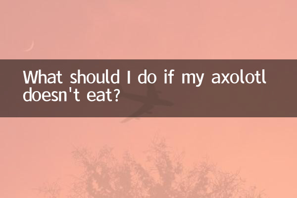 What should I do if my axolotl doesn't eat?