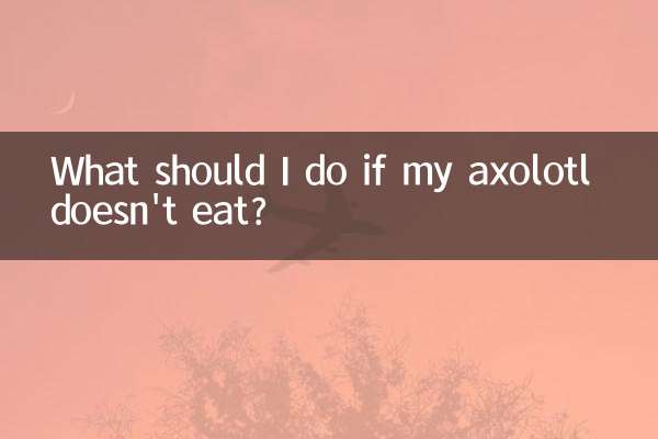 蠑螈不吃東西怎麼辦