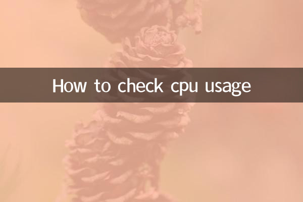 So überprüfen Sie die CPU-Auslastung