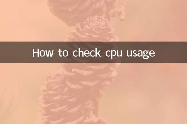 So überprüfen Sie die CPU-Auslastung