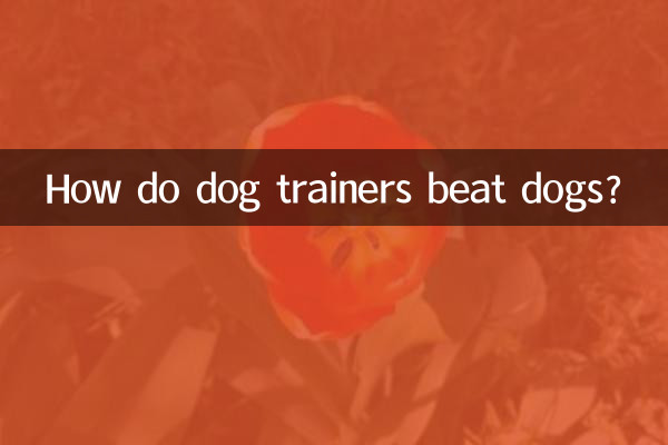 Как дрессировщики собак побеждают собак?