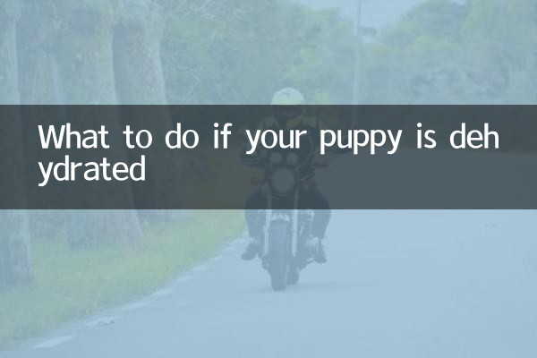 Was tun, wenn Ihr Welpe dehydriert ist?