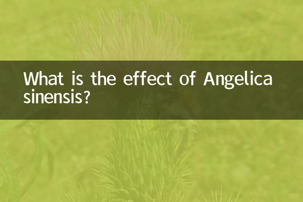 انجلیکا سائنینسس کا کیا اثر ہے؟