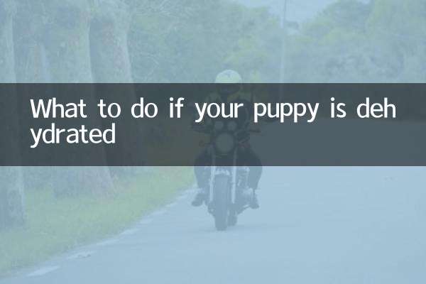 اگر توله سگ شما کم آبی دارد چه باید کرد؟