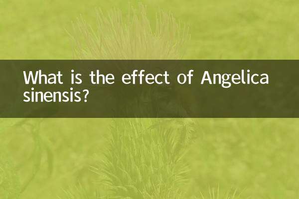 انجلیکا سائنینسس کا کیا اثر ہے؟