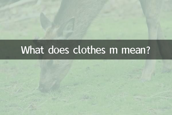 衣服m是什么意思