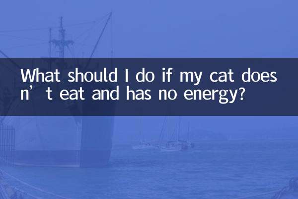 貓貓不吃東西沒精神怎麼辦