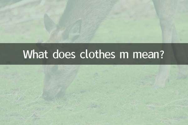衣服m是什么意思