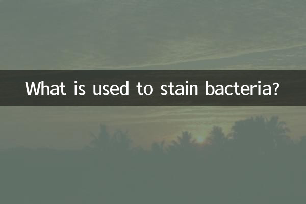 What is used to stain bacteria?