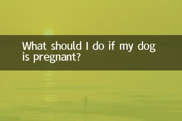 Que dois-je faire si ma chienne est enceinte ?