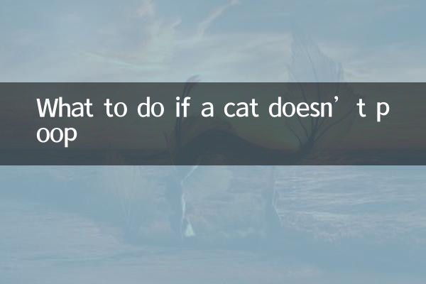 अगर बिल्ली शौच न करे तो क्या करें?