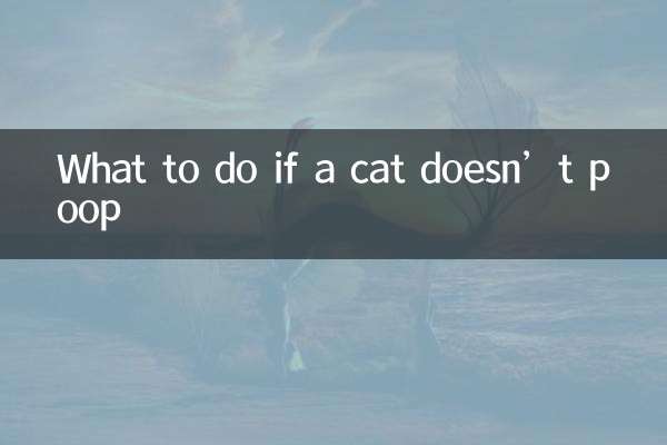 अगर बिल्ली शौच न करे तो क्या करें?