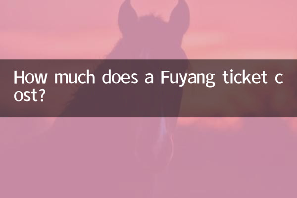 푸양 티켓 가격은 얼마인가요?