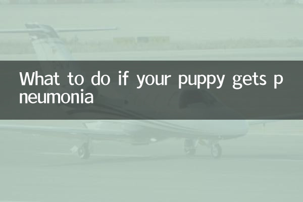 Qué hacer si tu cachorro contrae neumonía