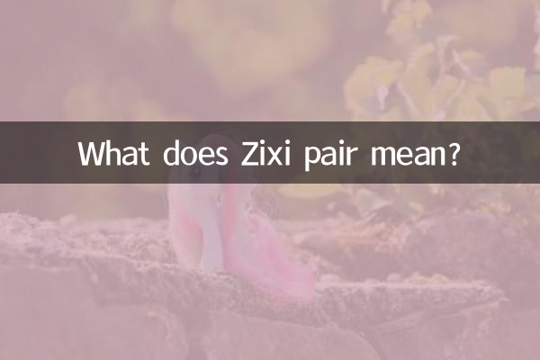 زیکسی جوڑی کا کیا مطلب ہے؟